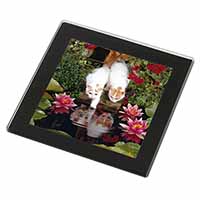 Turkish Van Cats by Fish Pond Black Rim High Quality Glass Coaster