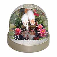 Turkish Van Cats by Fish Pond Snow Globe Photo Waterball