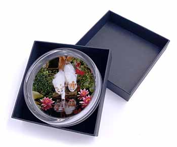 Turkish Van Cats by Fish Pond Glass Paperweight in Gift Box