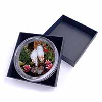 Turkish Van Cats by Fish Pond Glass Paperweight in Gift Box