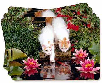 Turkish Van Cats by Fish Pond Picture Placemats in Gift Box