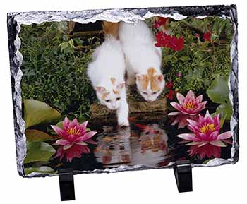 Turkish Van Cats by Fish Pond, Stunning Photo Slate