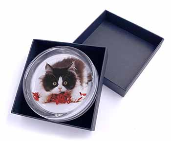 Kitten with Red Ribbon Glass Paperweight in Gift Box