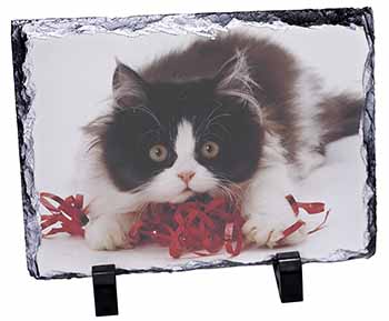 Kitten with Red Ribbon, Stunning Photo Slate