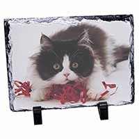 Kitten with Red Ribbon, Stunning Photo Slate