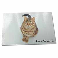 Large Glass Cutting Chopping Board Tabby Cat 