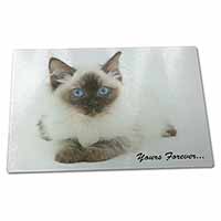 Large Glass Cutting Chopping Board Ragdoll Cat 