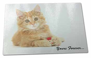 Large Glass Cutting Chopping Board Ginger Kitten 