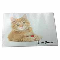 Large Glass Cutting Chopping Board Ginger Kitten 