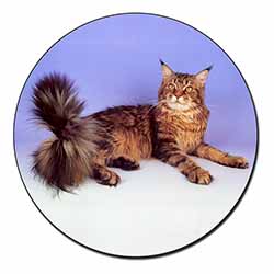 Tabby Maine Coon Cat Fridge Magnet Printed Full Colour