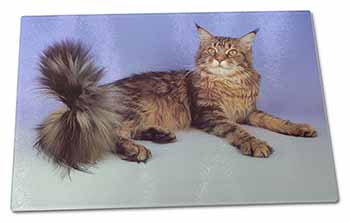 Large Glass Cutting Chopping Board Tabby Maine Coon Cat