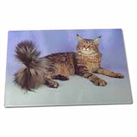 Large Glass Cutting Chopping Board Tabby Maine Coon Cat
