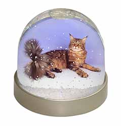 Tabby Maine Coon Cat Snow Globe Photo Waterball