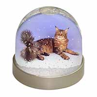 Tabby Maine Coon Cat Snow Globe Photo Waterball