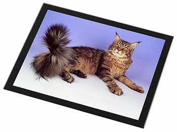 Tabby Maine Coon Cat Black Rim High Quality Glass Placemat