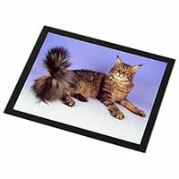 Tabby Maine Coon Cat Black Rim High Quality Glass Placemat