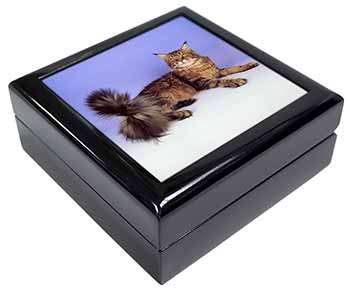 Tabby Maine Coon Cat Keepsake/Jewellery Box