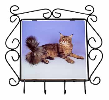 Tabby Maine Coon Cat Wrought Iron Key Holder Hooks