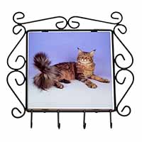 Tabby Maine Coon Cat Wrought Iron Key Holder Hooks