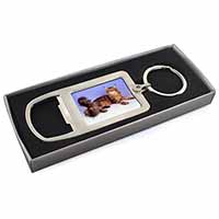 Tabby Maine Coon Cat Chrome Metal Bottle Opener Keyring in Box