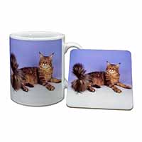 Tabby Maine Coon Cat Mug and Coaster Set