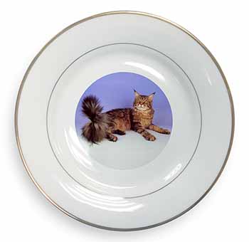 Tabby Maine Coon Cat Gold Rim Plate Printed Full Colour in Gift Box