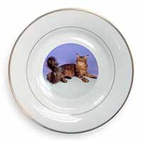 Tabby Maine Coon Cat Gold Rim Plate Printed Full Colour in Gift Box