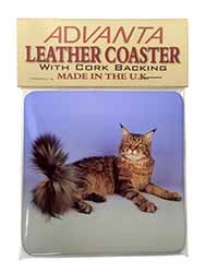 Tabby Maine Coon Cat Single Leather Photo Coaster