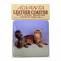 Tabby Maine Coon Cat Single Leather Photo Coaster