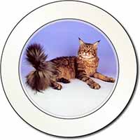 Tabby Maine Coon Cat Car or Van Permit Holder/Tax Disc Holder