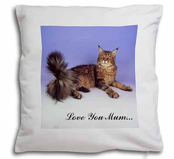 Maine Coon Cat 