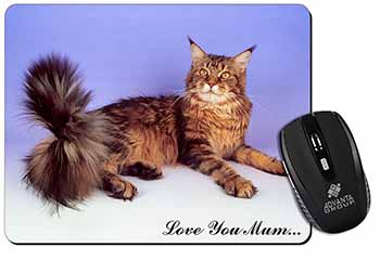 Maine Coon Cat 