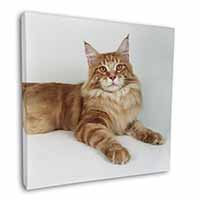 Red Maine Coon Cat Square Canvas 12"x12" Wall Art Picture Print