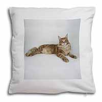 Red Maine Coon Cat Soft White Velvet Feel Scatter Cushion