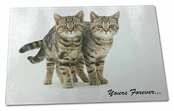 Large Glass Cutting Chopping Board Tabby Cats 