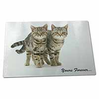 Large Glass Cutting Chopping Board Tabby Cats 