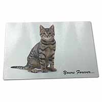Large Glass Cutting Chopping Board Tabby Cat 