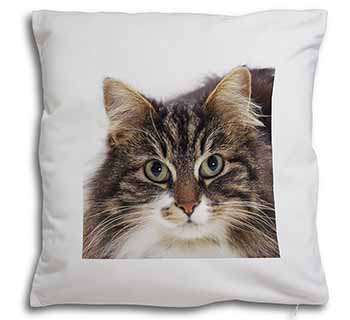 Face of Tortoiseshell Cat Soft White Velvet Feel Scatter Cushion