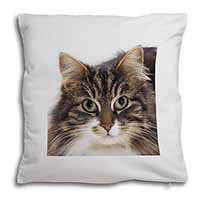 Face of Tortoiseshell Cat Soft White Velvet Feel Scatter Cushion