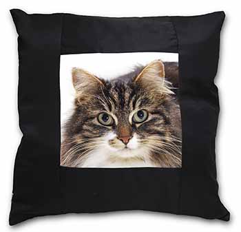 Face of Tortoiseshell Cat Black Satin Feel Scatter Cushion