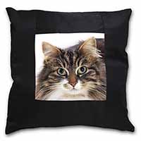 Face of Tortoiseshell Cat Black Satin Feel Scatter Cushion