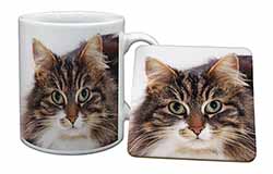 Face of Tortoiseshell Cat Mug and Coaster Set