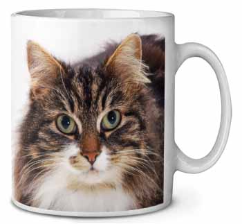 Face of Tortoiseshell Cat Ceramic 10oz Coffee Mug/Tea Cup