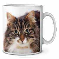 Face of Tortoiseshell Cat Ceramic 10oz Coffee Mug/Tea Cup