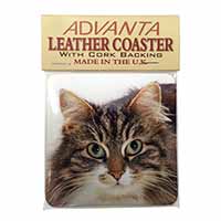 Face of Tortoiseshell Cat Single Leather Photo Coaster