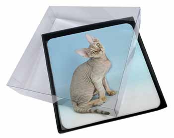 4x Devon Rex Kitten Cat Picture Table Coasters Set in Gift Box
