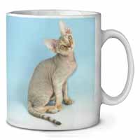 Devon Rex Kitten Cat Ceramic 10oz Coffee Mug/Tea Cup