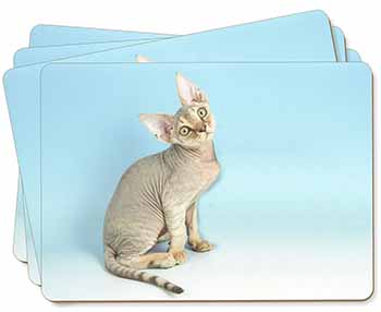 Devon Rex Kitten Cat Picture Placemats in Gift Box