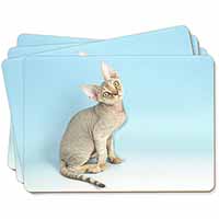 Devon Rex Kitten Cat Picture Placemats in Gift Box