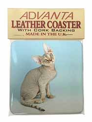 Devon Rex Kitten Cat Single Leather Photo Coaster